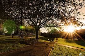 صور جميله صور جميلة country roads farmland outdoor