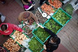 Troy Farmers Market Troy Ny 10 Jan 02 Troy Ny Troy Farmers Market