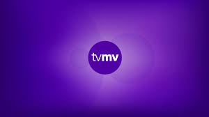 Bildergebnis für Karin Schou Andersen