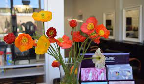 I highly recommend salon lofts at southpoint and miranda high hairstylist. Poppy Salon Durham Nc Hair Salon Hair Stylists Book Now