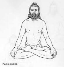 Association For Yoga And Meditation Lotus Pose Yoga Yoga For Men Yoga Poses For Men