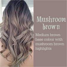 Mushroom Brown Brunettefrisurenforwomen Wenn Ihnen Dieser Pin Gefallt Klicken Sie Jetzt Fur Mushroom Hair Balayage Hair Brunette Hair Color