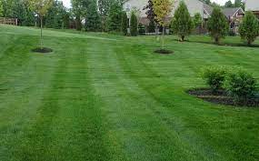 How Much Does Lawn Care Cost In Nky Find Out Here