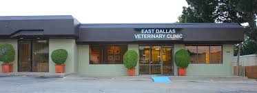 East lake pet orphanage and east lake veterinary hospital may be able to help you find out. Top Rated Local Veterinarians East Dallas Veterinary Clinic
