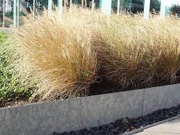 Edges are durably crafted from galvanized steel; Metal Lawn Edging Galvanised Corten Edging 5 Off First Order