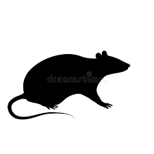 Silhouette Of The Rat Or Mouse Is Sitting On A White Background The Black Silho Affiliate Sitting White M Rat Silhouette Shadow Art Silhouette Vector