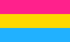 Pansexual flag - Wikipedia