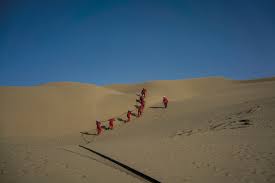Juvenile survival rates remain poorly studied. Along China S New Silk Road Zhao Yao Zhao Zhao And Zhuang Hui Frieze