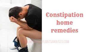 Pin On Natural Remedies