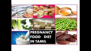 pregnancy food diet advice tips in tamil