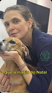 Gastro + Vet (@gastromaisvet) • Instagram photos and videos