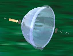 Bird Feeder Protection From Squirrels How To Make A Cheap Bird Feeder Rain Shield Bird Feeders Bird House Feeder Garden Bird Feeders