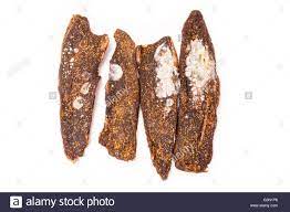 Moldy Biltong South African Beef Jerky Isolated On A White Studio Background Stock Photo Alamy