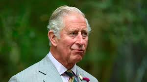 Andrew Pierce slams Prince Charles over Rwanda comments