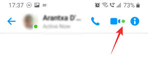 The green dot prepaid visa card has a free mobile app and website where users can check their balance and transaction history. What Does The Green Dot Mean On Facebook Or Messenger