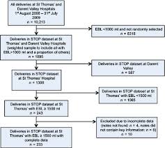 flow diagram of the surveillance and treatment of pph data