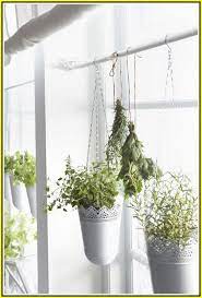 Tips And Concepts For Any Type Of Gardener Simple Garden Ideas Hanging Plants Hang Plants From Ceiling Kitchen Plants