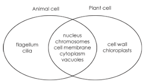 From a to z discovery. Science Orientation Skills Student Resource For Science 8