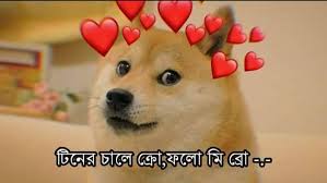 See more ideas about doge, memes, doge meme. Bangla Doge Templates Gangãƒ„ Posts Facebook