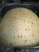Bread Machine Garlic Bread Pizza Dough Bread Maker Recipes Pizza Dough Bread Pizza Dough Bread Machine