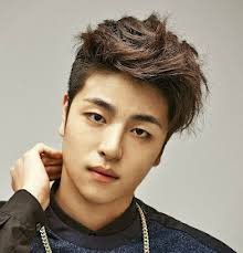 HYUN ANN: PROFIL iKON