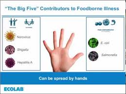 Ecolab 408070211 thermometer wipes and food probe wipes disinfectant cleaning wipes are necessary component to any food safety program, and preventing dangerous food safety incidents. Food Safety Matters Webinar August 2017 Hand Care Youtube