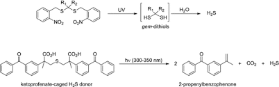 Kim tiong enterprises pte ltd is a leading ship suppliers company based in singapore. Medicinal Chemistry Insights Into The Development Of Novel H2s Donors Springerlink