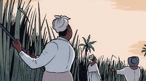 Washington Black” Reveals the Bonds of Both Cruelty and Compassion | The  New Yorker