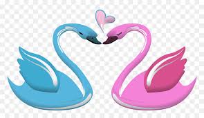 Burung cendet juga mabung tapi burung ini butuh perawatan khusus. Lovebird Lovebird Black Swan Heart Swan Love Png Transparent Png Vhv