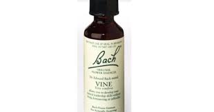 Vine Bach Flower Shop Bach Flower Remedies Bach Flower Remedies Flower Essences Flower Remedy