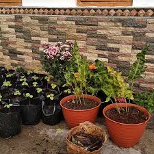 Harga batu alam yang kami tawarkan sangat bersaing dan alamat. Jawanda Batu Alam Home Facebook