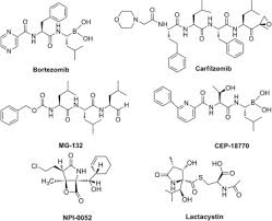 3d Qsar Aided Design Synthesis In Vitro And In Vivo Evaluation Of Dipeptidyl Boronic Acid Proteasome Inhibitors And Mechanism Studies Sciencedirect Visit our office of financial aid for more information. 3d qsar aided design synthesis in