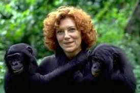 3 Mother Of The Bonobos