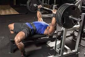 Ucretsiz Fitness Programlari Bilimsel Destekli Sporium Net Gogus Egzersizleri Fitness Programlari Bench Press