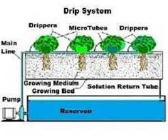 Drip System Hydroponic Gardens
