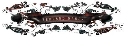 Erziehung und entwicklung des welpen. Berner Sennen Welpen Kaufen Bei Berner Sennen Von Der Bernard Ranch