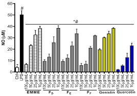 Image result for Eriosema montanum