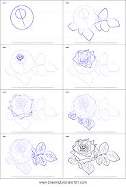 Rose flower in full bloom. Red Rose Drawing Easy Step By Step
