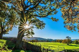 Check spelling or type a new query. Pocasie Predpoved Na Utorok 15 Juna 2021 Jasno Az Polooblacno Spravy Pozri Sk