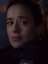 Chicago Pd Sandwich from Restaurant