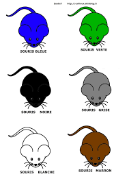 J Ai Trouve Dans Mes Cheveux Une Souris Bleue Comptines Souris Chat Et Souris