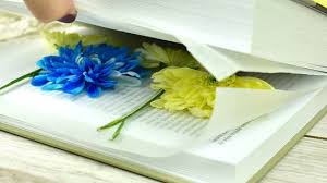 How to press flowers perfectly. 5 Ways To Press Flowers Wikihow
