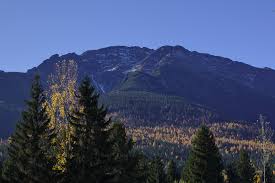 Top hotels in vatra dornei. Trasee Pe Munte Borsa Varful Pietrosul Rodnei 2303 M Muntii Rodnei Proalpin Ro Blog