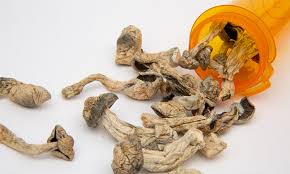 Image result for Psilocybin