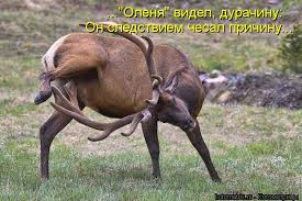 Черногорию официально приняли в НАТО - Цензор.НЕТ 6140