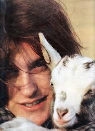 Take me where real animals are playing!