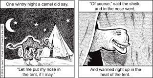 These great caravans usually travelled in the best season for travel, winter. The Camel Is Inside The Tent The Ken