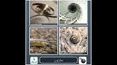 حل لعبة اربع صور حلول سريعة و مريحة youtube