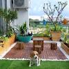Do you want to learn how to make a vegetable garden in an apartment? Https Encrypted Tbn0 Gstatic Com Images Q Tbn And9gcso37lnnndkxsdwuw104pcorytzq2fa9hdo3tf Arjp3wazm5qs Usqp Cau