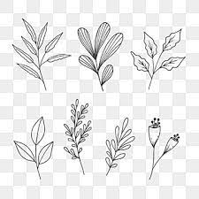 Collection Of Natural Leaves Line Art Sketch Art Black Blooming Png Transparent Clipart Image And Psd File For Free Download Line Art Watercolor Flower Illustration Flower Clipart